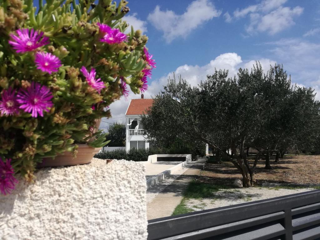 Holiday Home Villa Emma Debeljak Zewnętrze zdjęcie