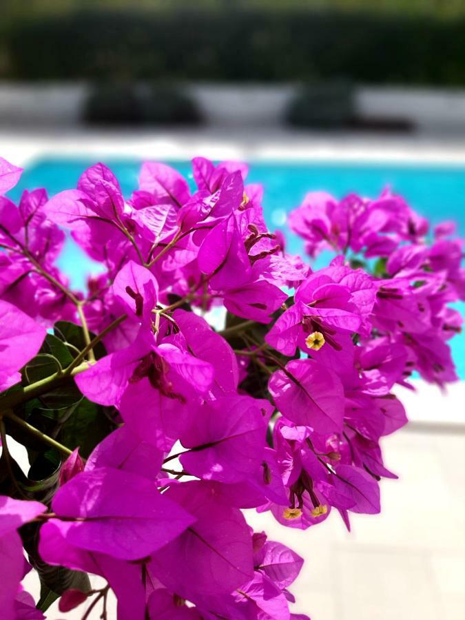 Holiday Home Villa Emma Debeljak Zewnętrze zdjęcie